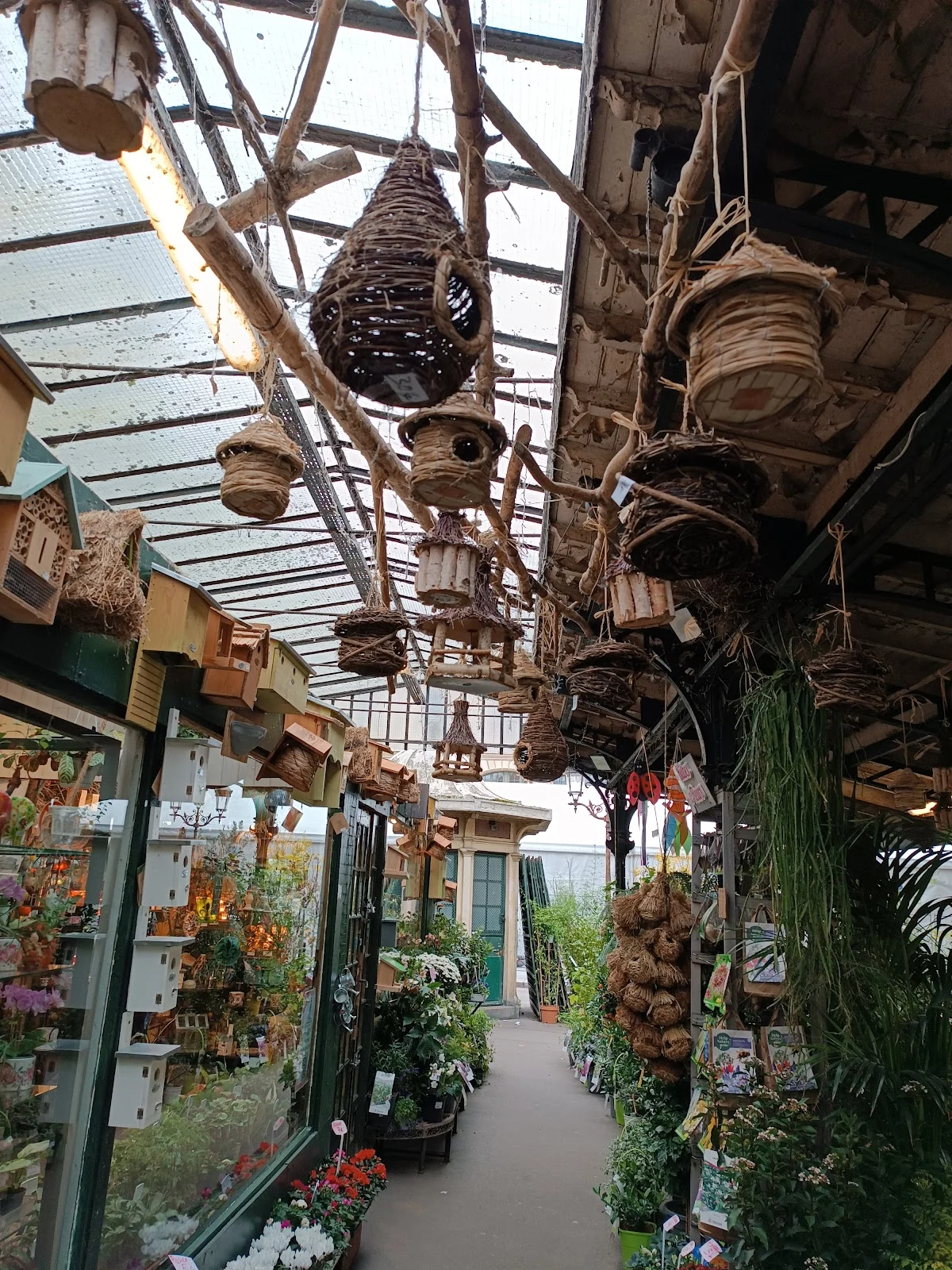 Marché aux fleurs