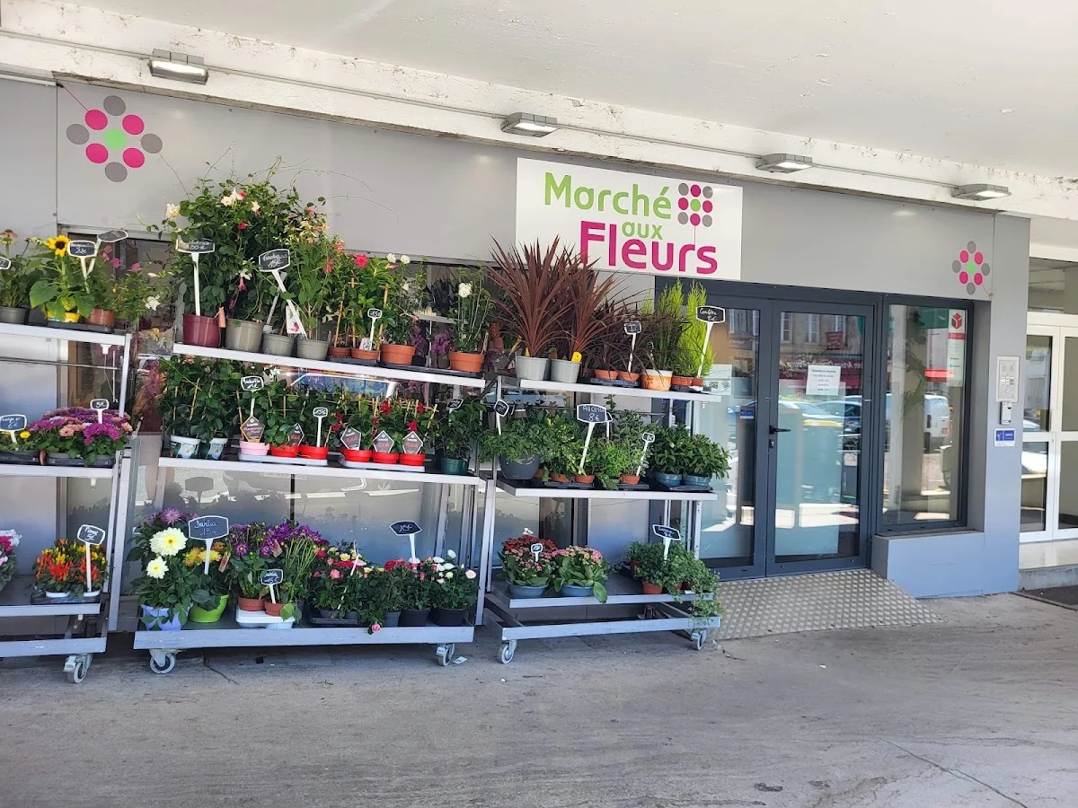 Marché aux Fleurs Guéret - 4