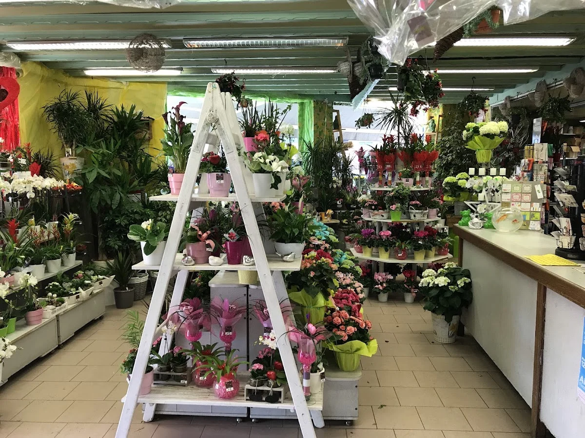 Marché Floral Arrageois - 2