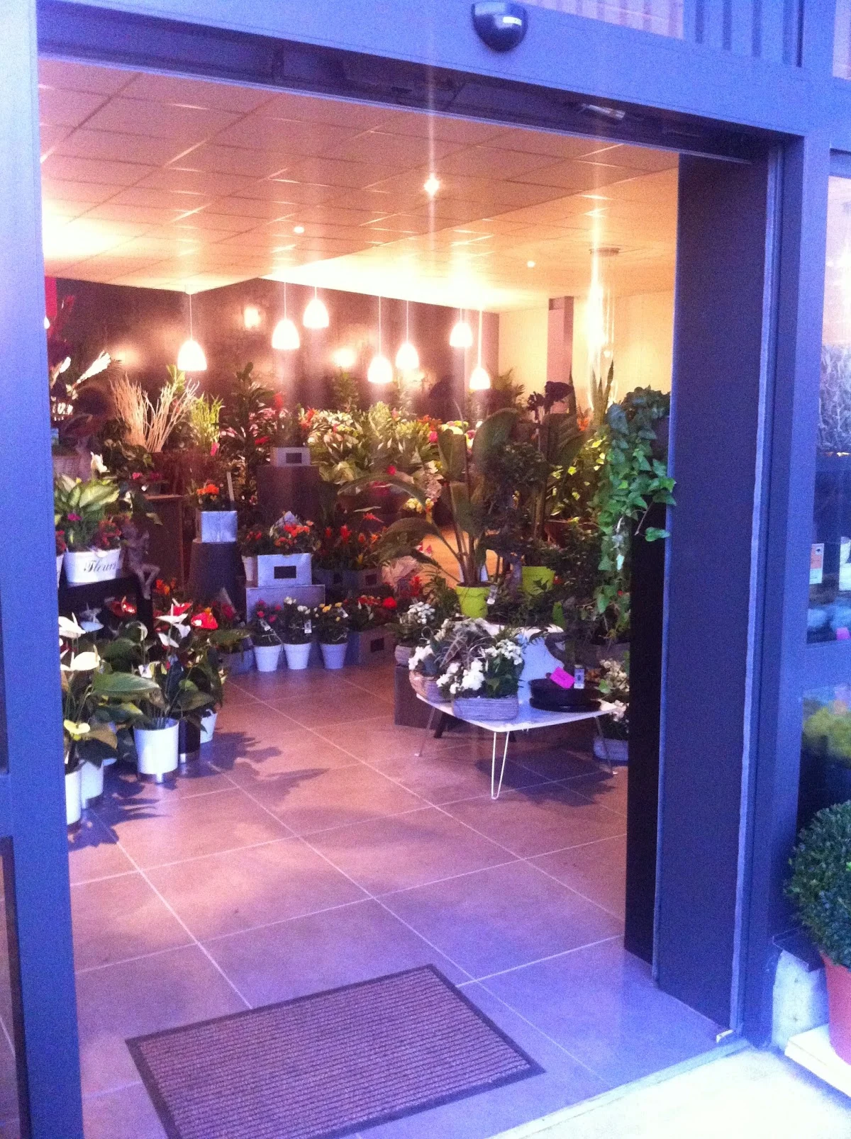 Marché Floral Audomarois