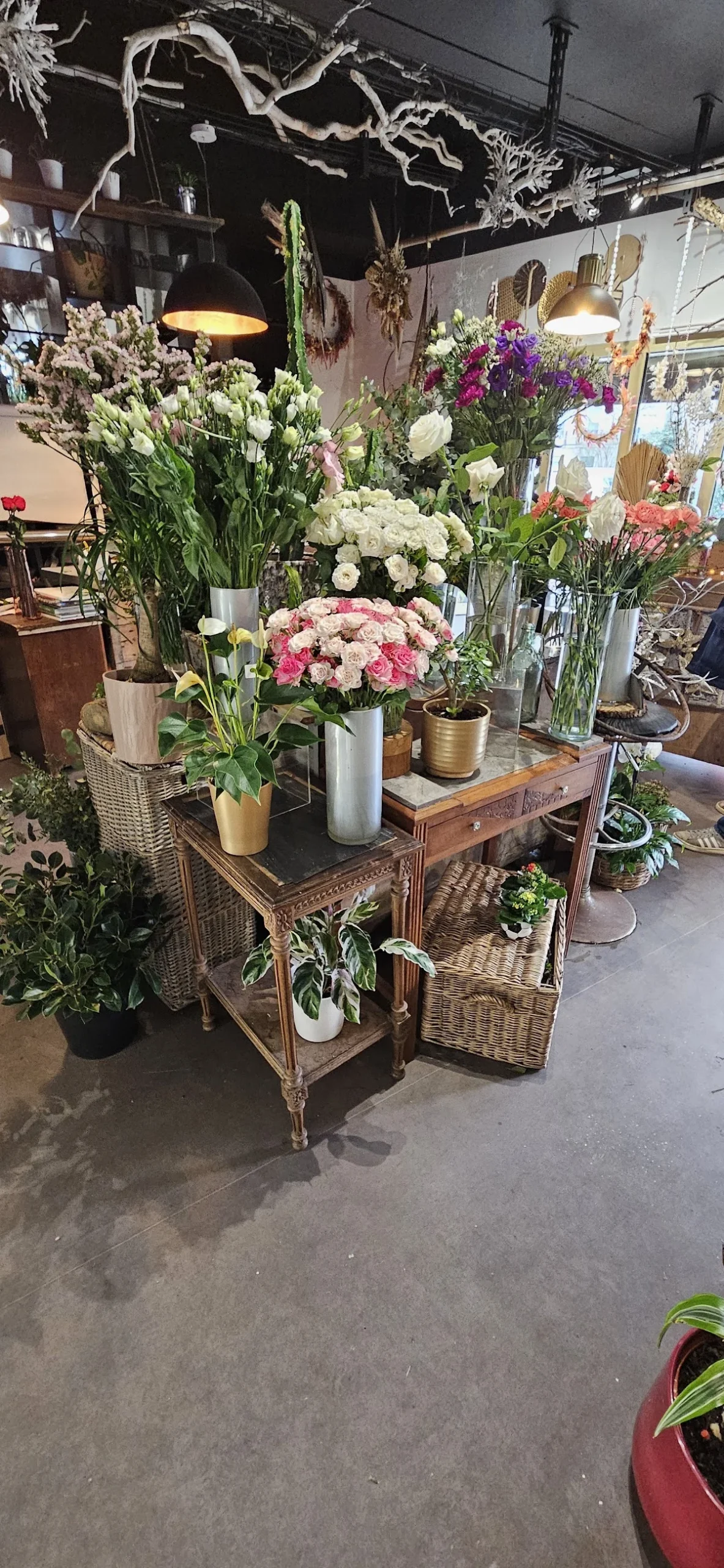 Marie Fleurs - 4