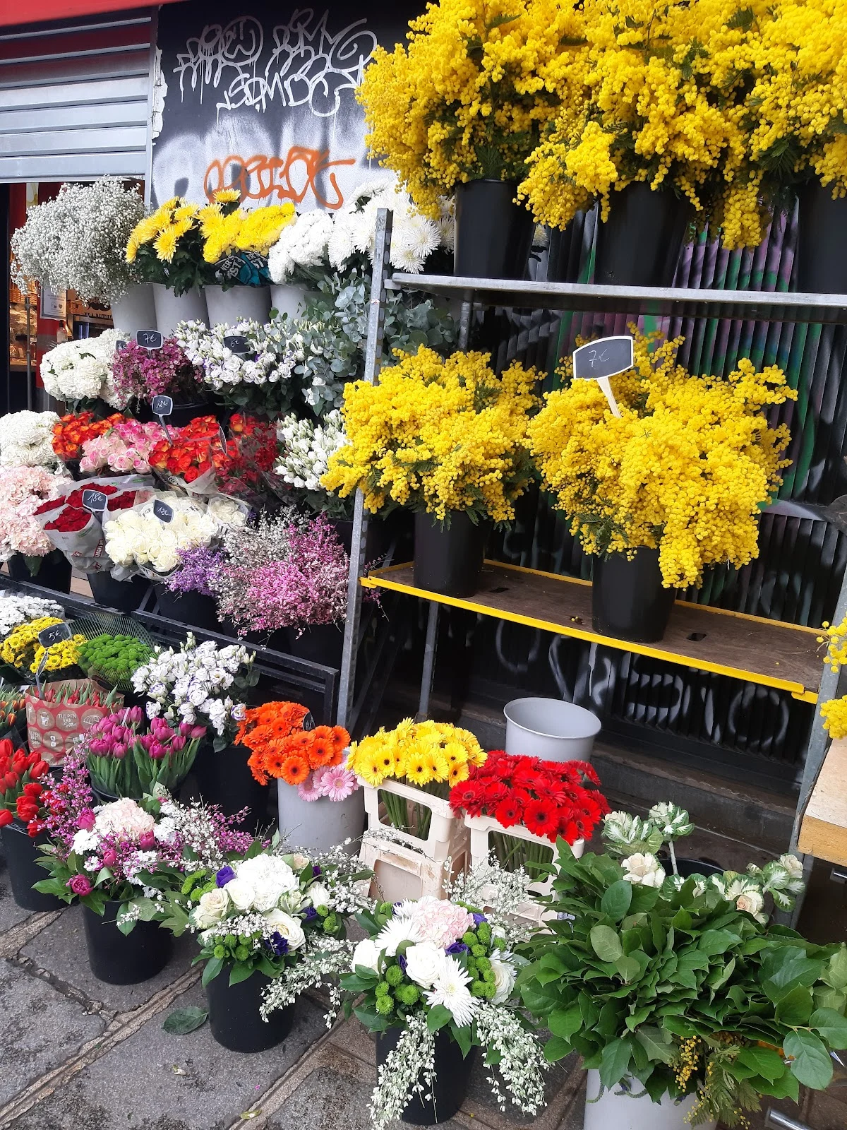 Mefa Fleurs - 5