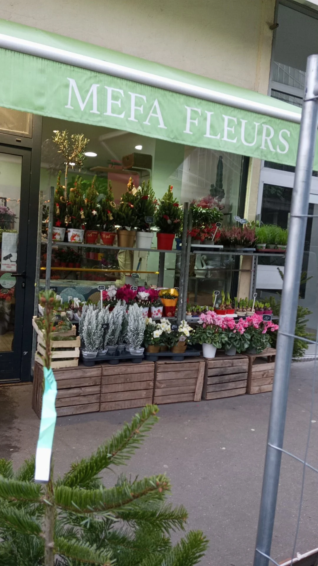 Mefa Fleurs - 7