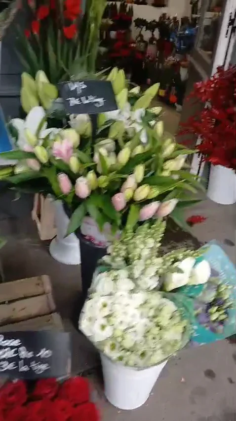 Mefa Fleurs | Fleuriste Paris - 3
