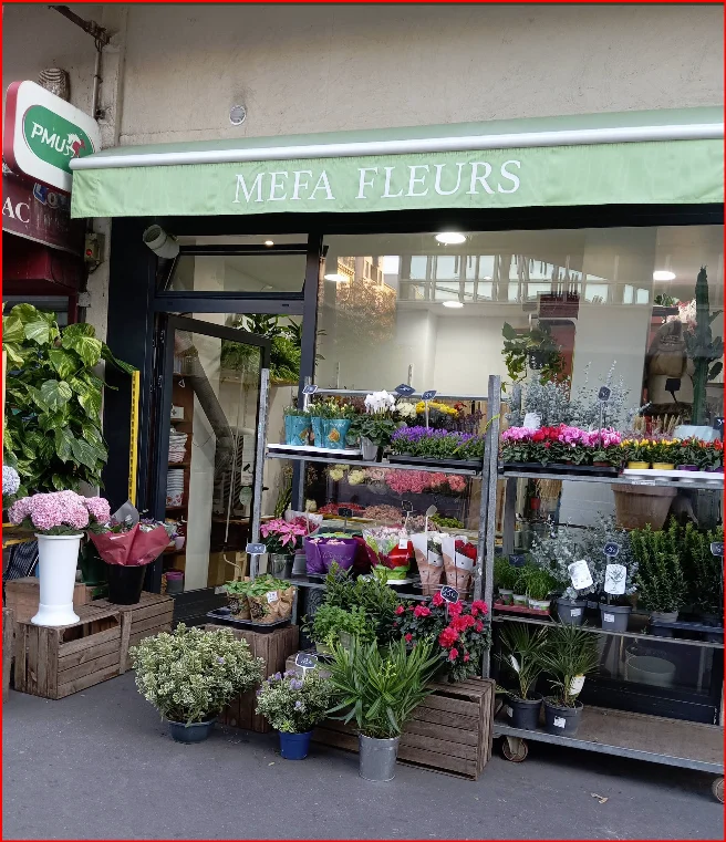 Mefa Fleurs