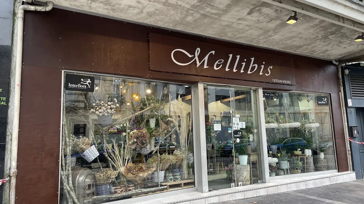 Mellibis Renouveau, Artisan Fleuriste à Agen - 4