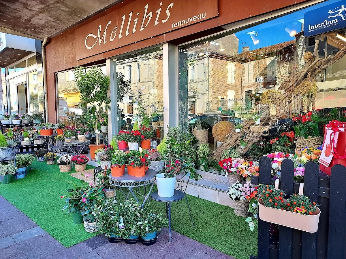 Mellibis Renouveau, Artisan Fleuriste à Agen