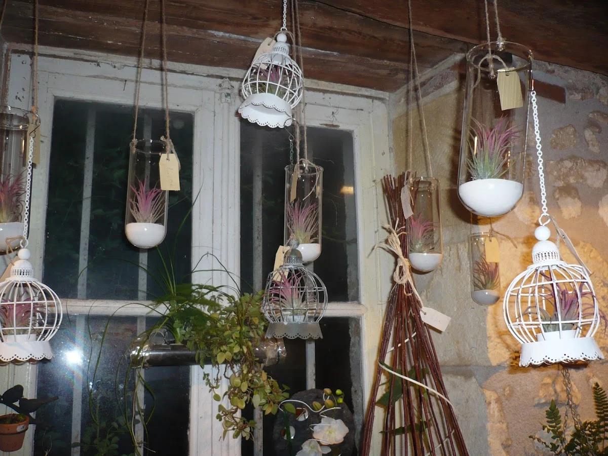 Mélodie Atelier de Fleurs Intemporelles