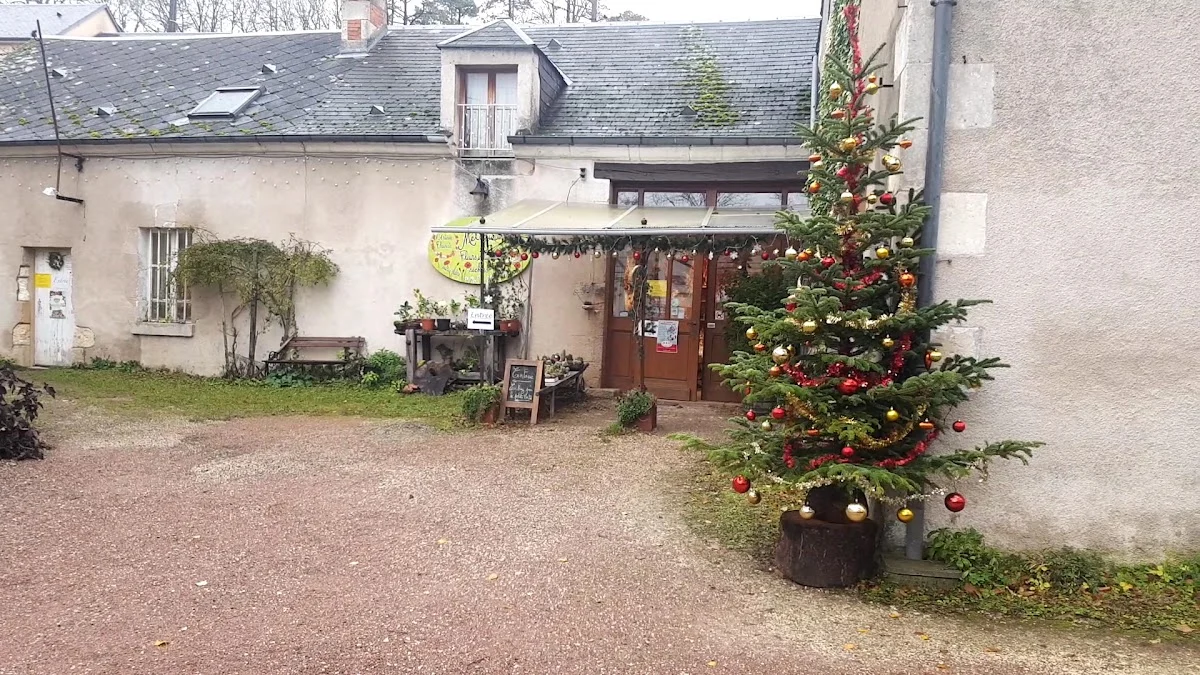 Mélodie Atelier de Fleurs Intemporelles - 3