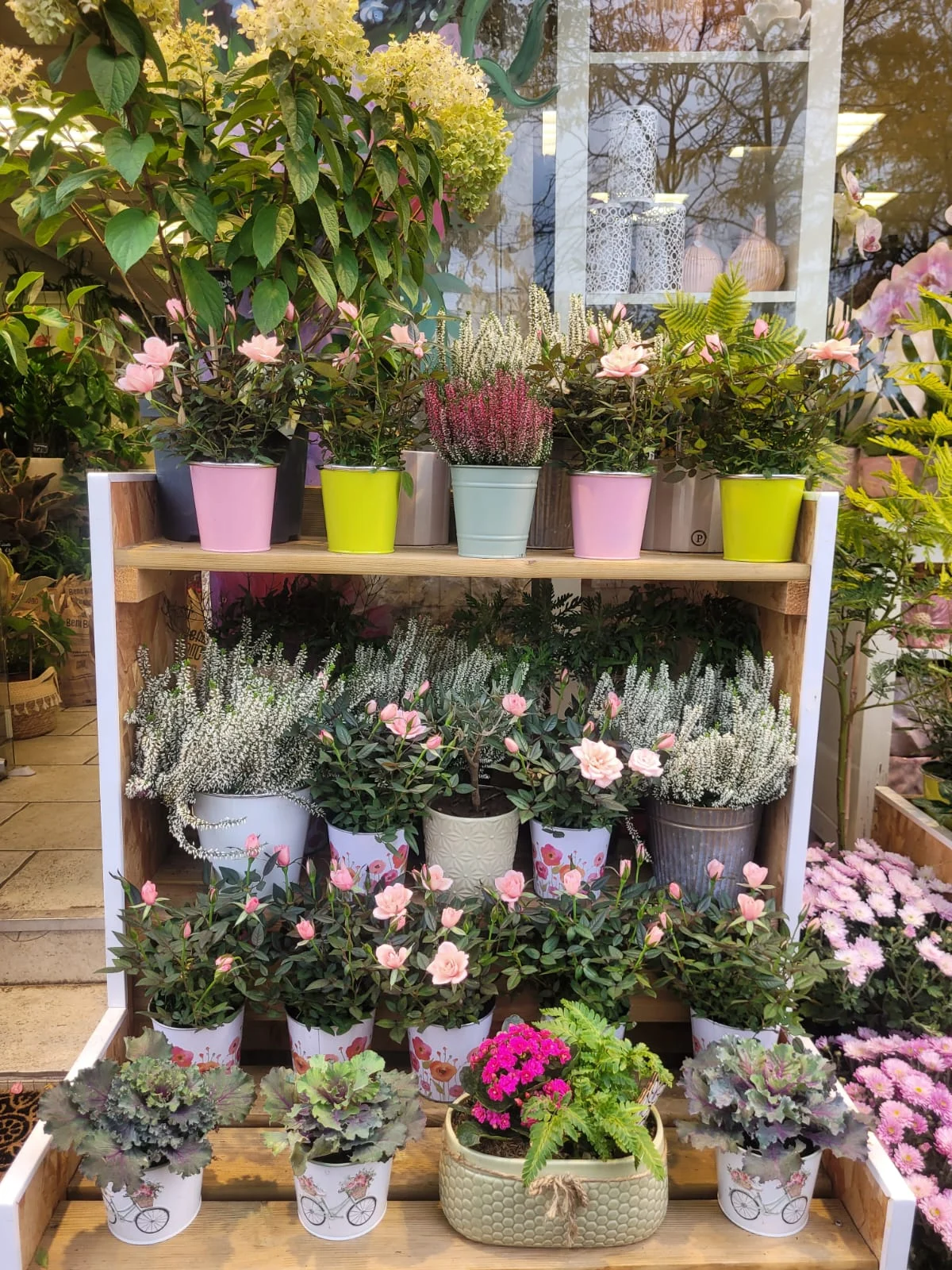 Menthe et Violette, Fleuriste à Vanves - 3