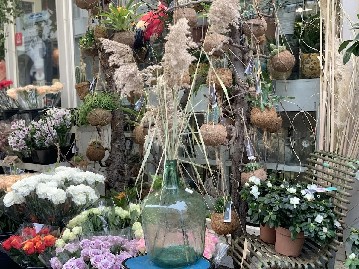 Mil et une fleur | Fleuriste Orléans - 3