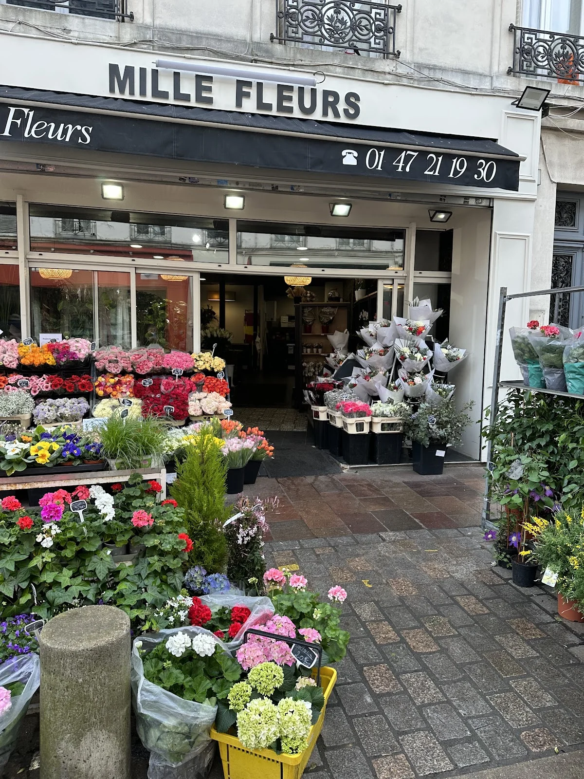 Mille Fleurs