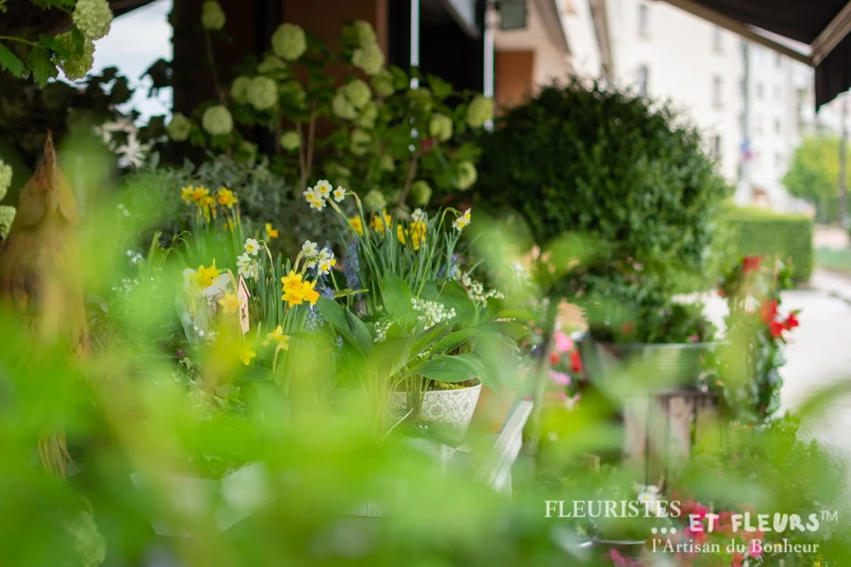 ML Flowers - 3