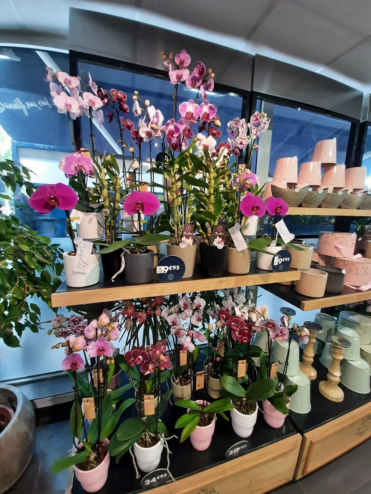 Monceau Fleurs - 2
