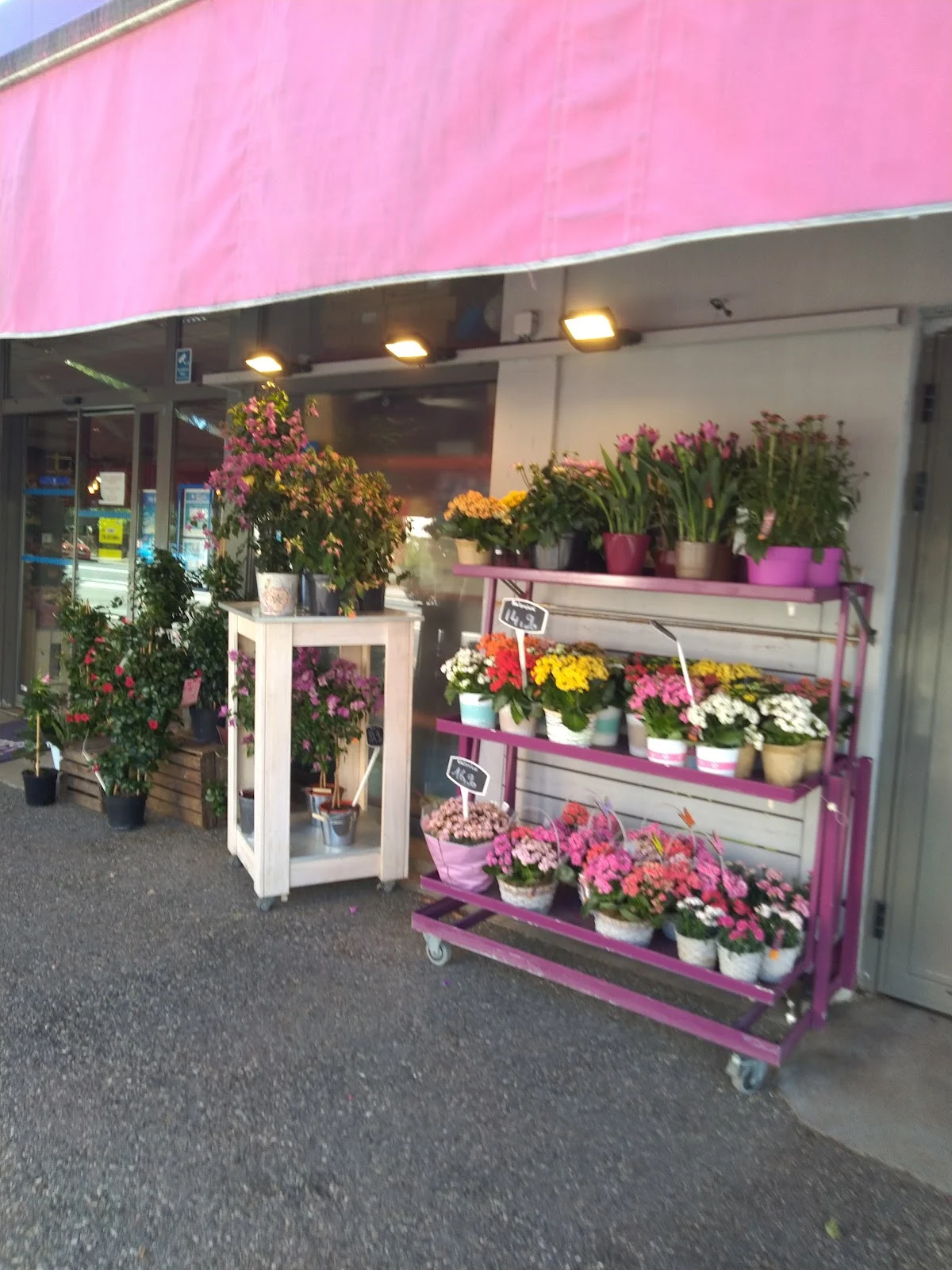 Monceau Fleurs - 2