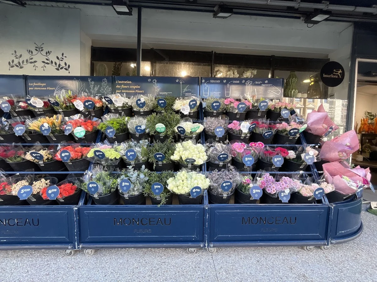 Monceau Fleurs - 2