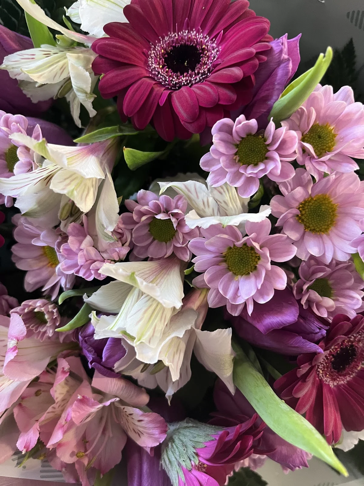 Monceau Fleurs - 2