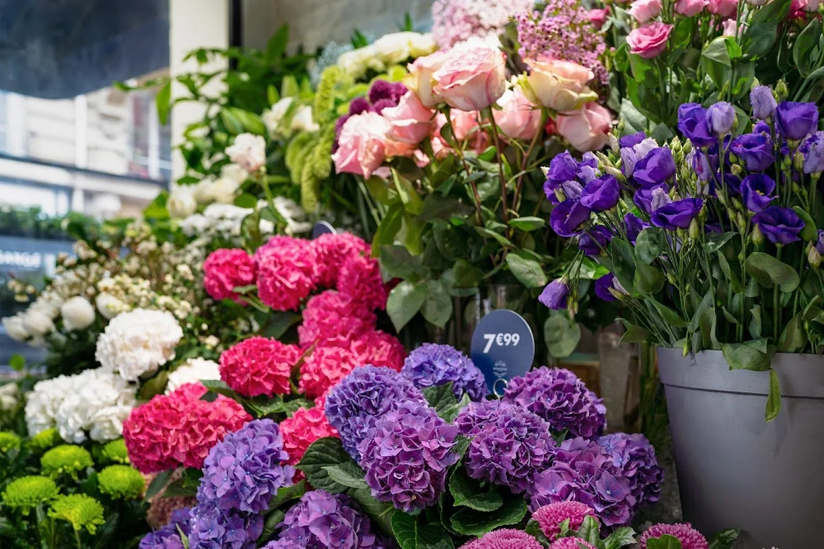 Monceau Fleurs - 4