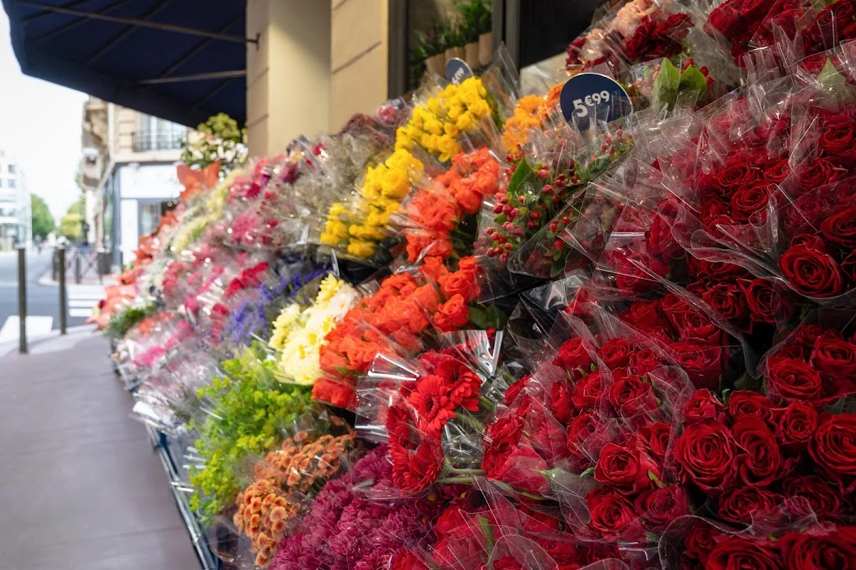 Monceau Fleurs - 4