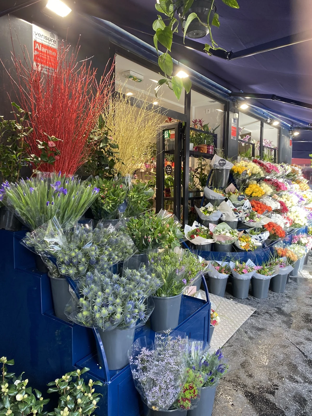 Monceau Fleurs - 4