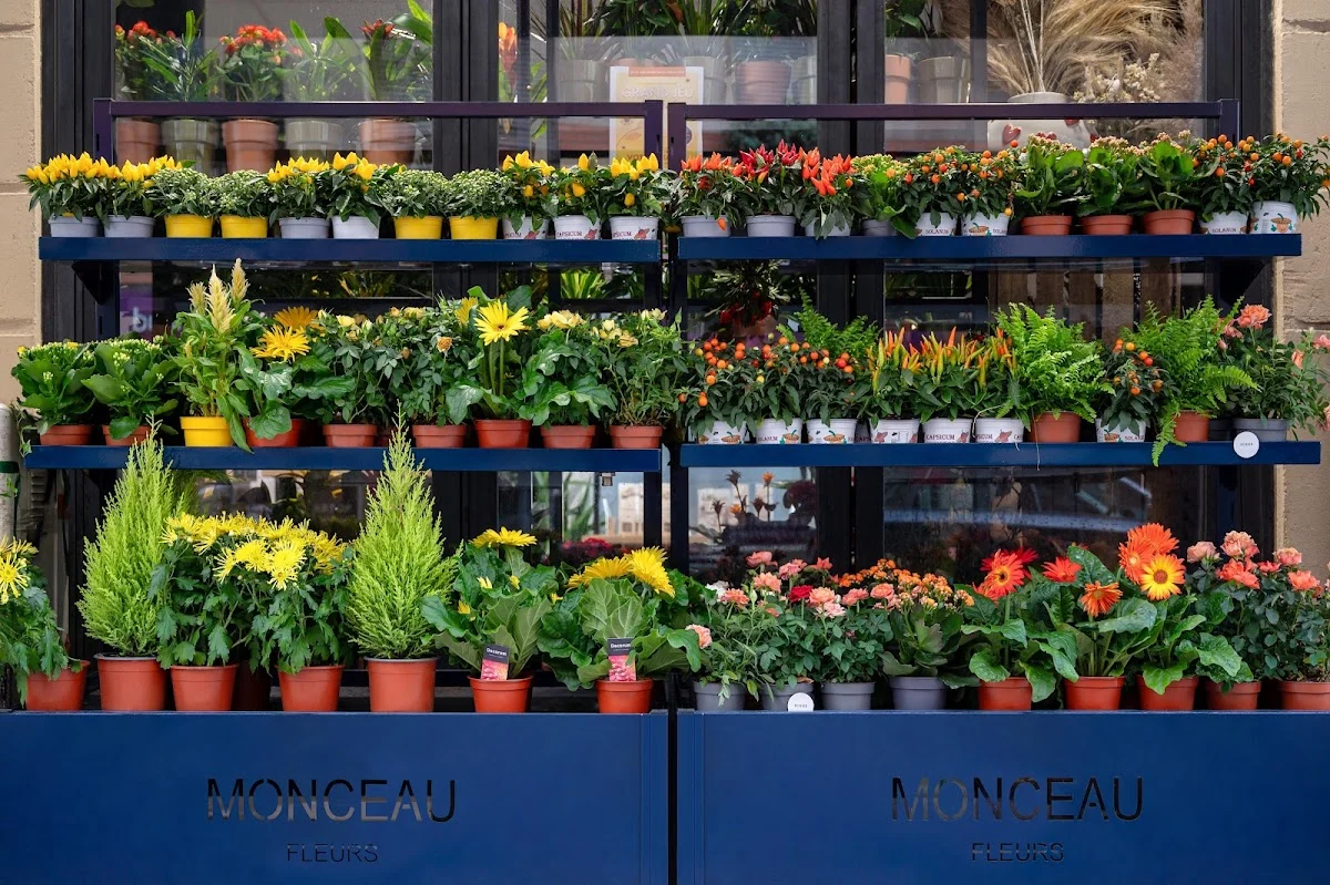 Monceau Fleurs - 5