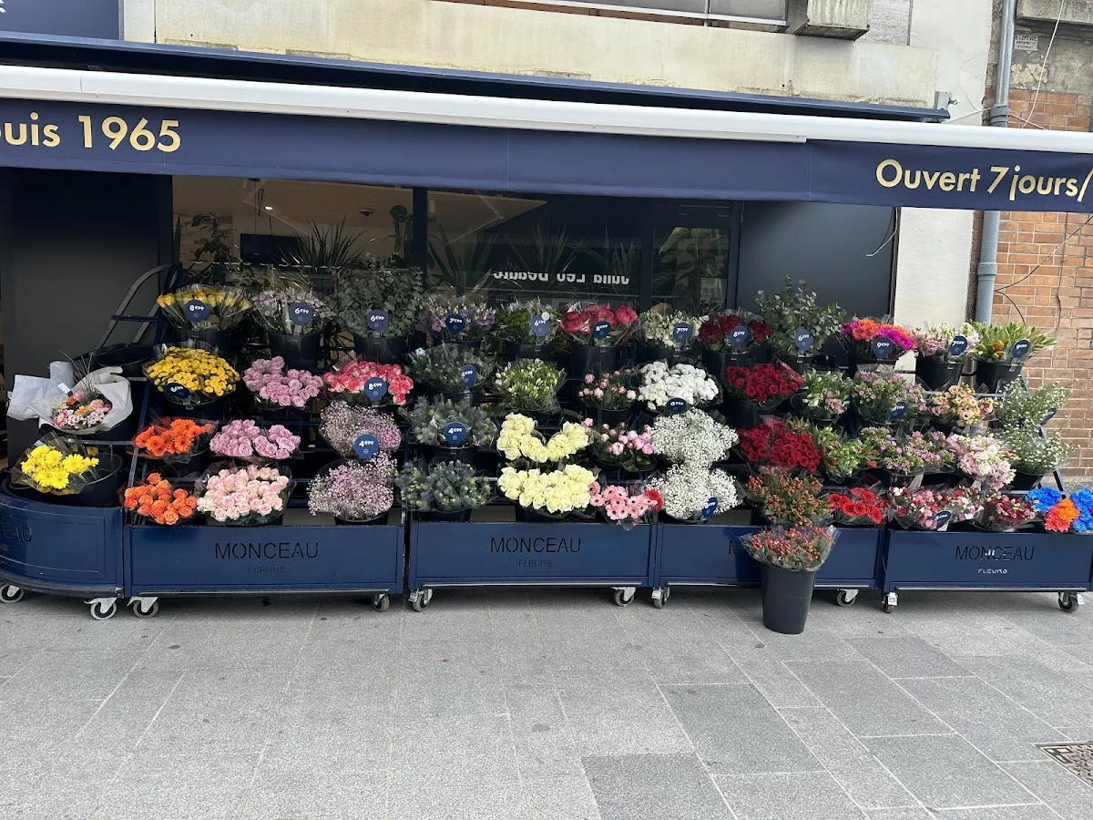 Monceau Fleurs - 5