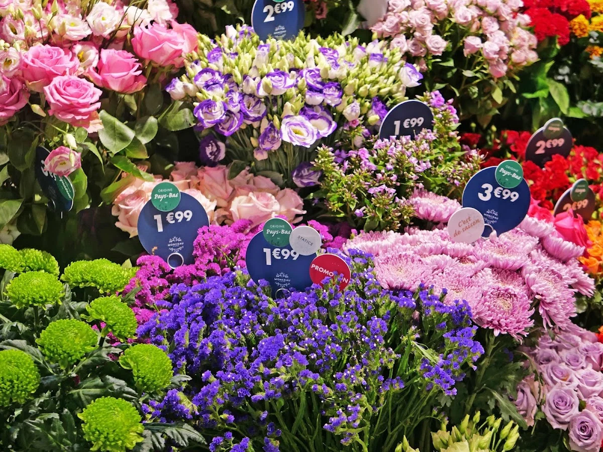 Monceau Fleurs - 5