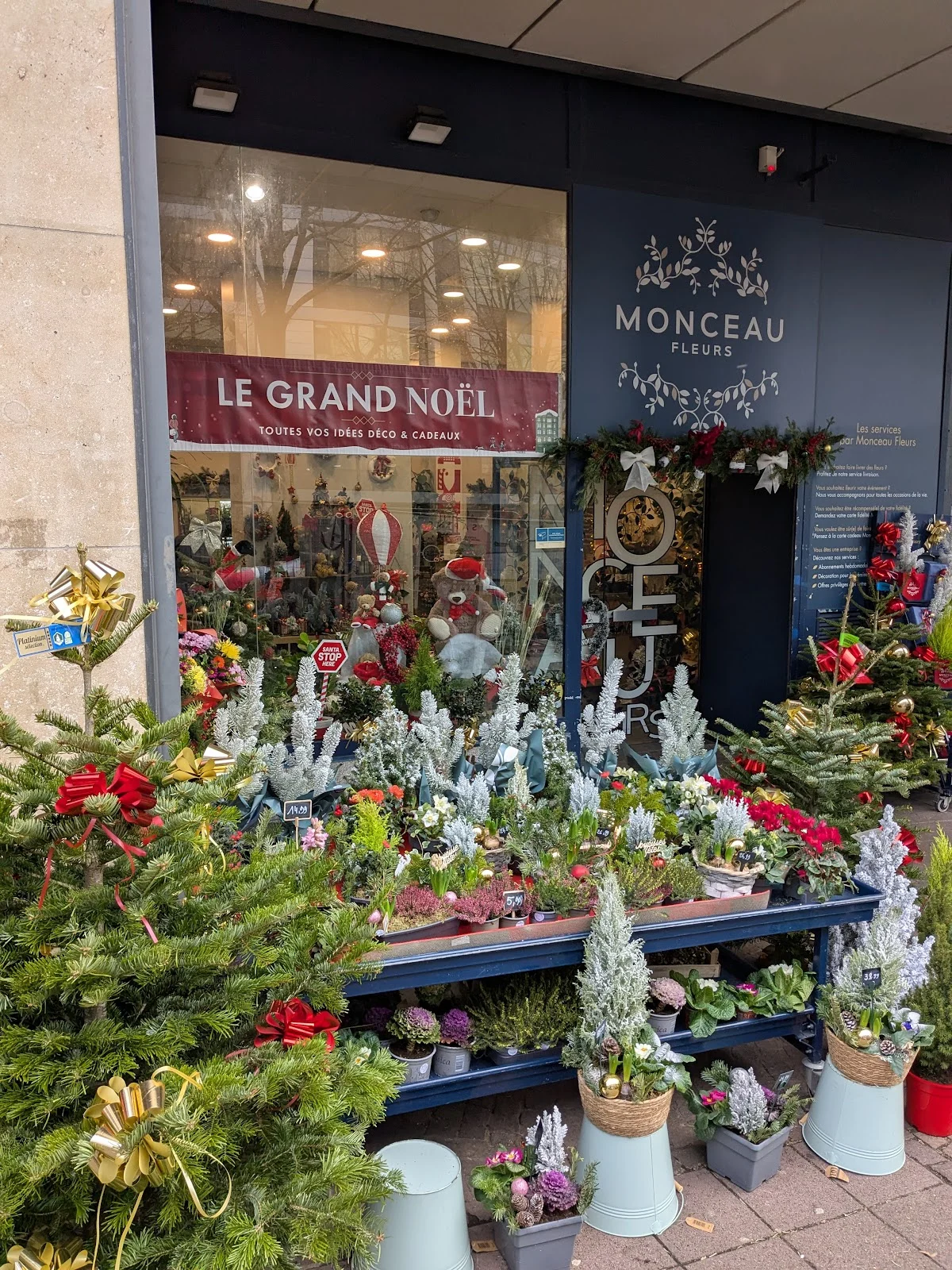 Monceau Fleurs - 5