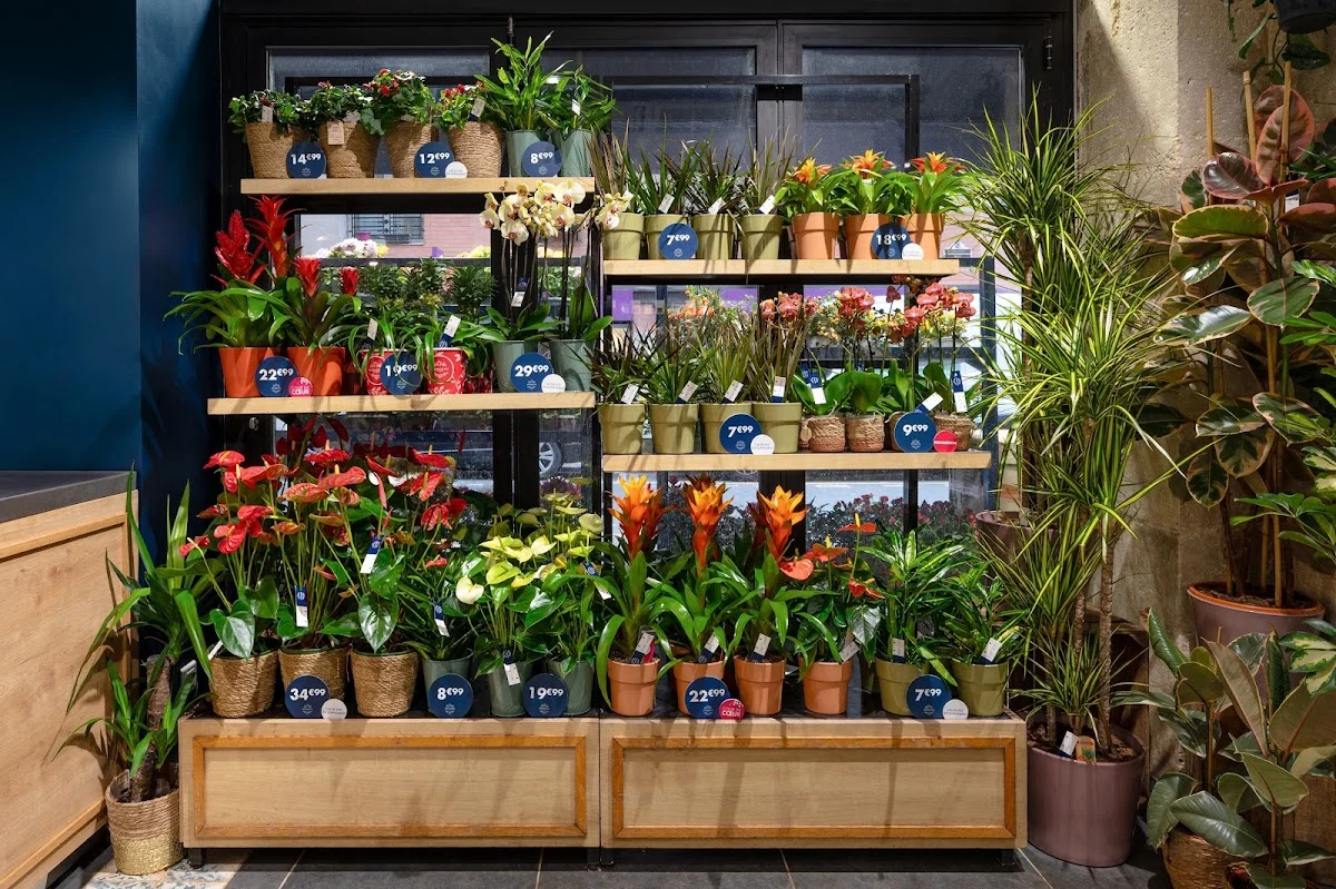 MONCEAU FLEURS - 6
