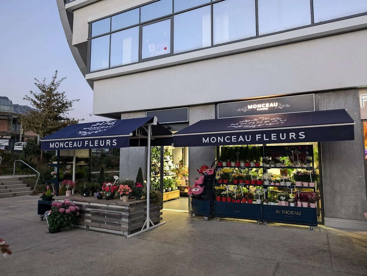 Monceau Fleurs