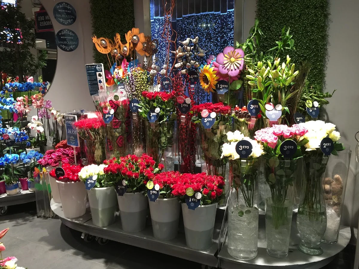 Monceau Fleurs FDS - 6