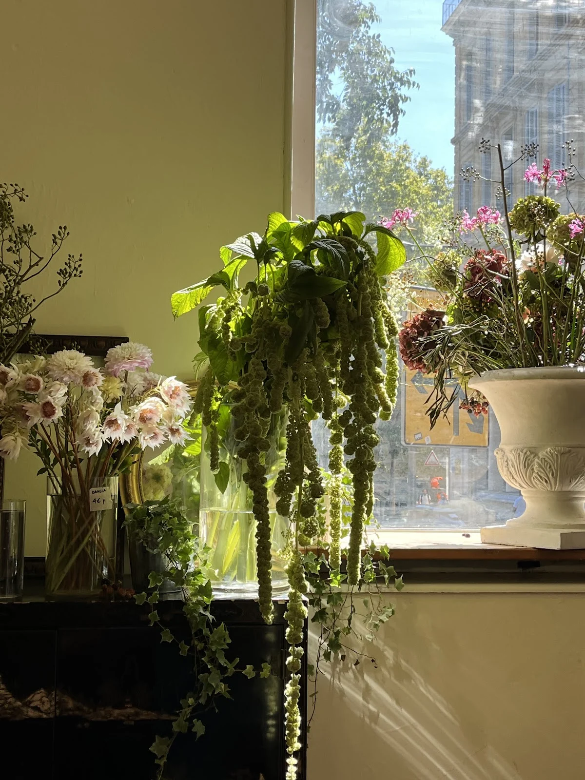 mr. dame ~ artisan fleuriste - 2