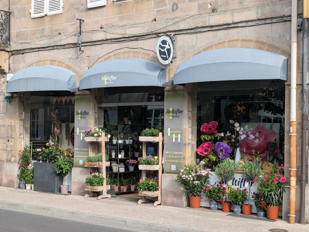 Multiflor | Fleuriste Brive-la-Gaillarde