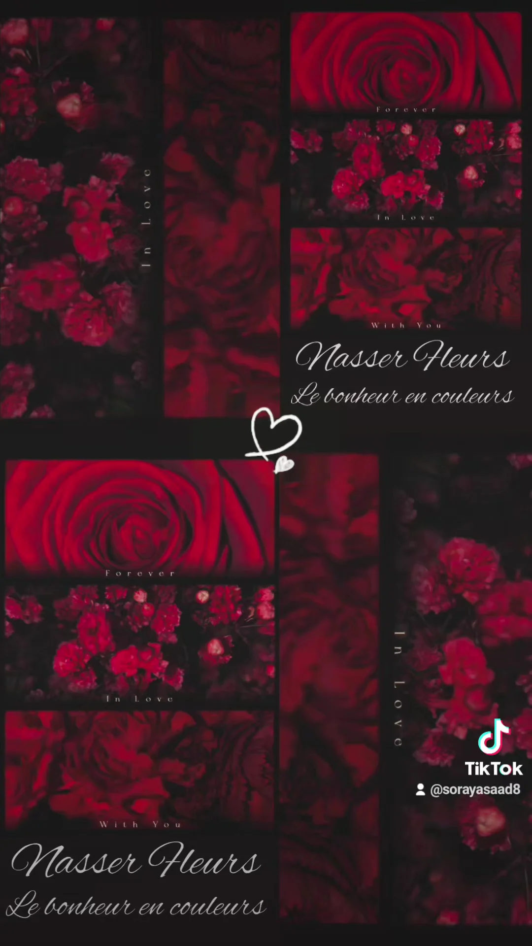 Nasser FLEURS - 2