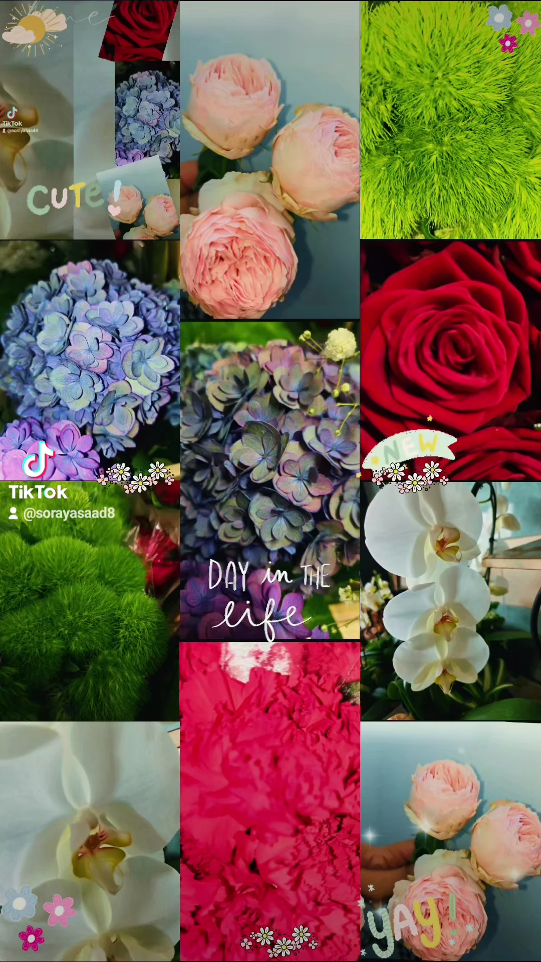 Nasser FLEURS - 6