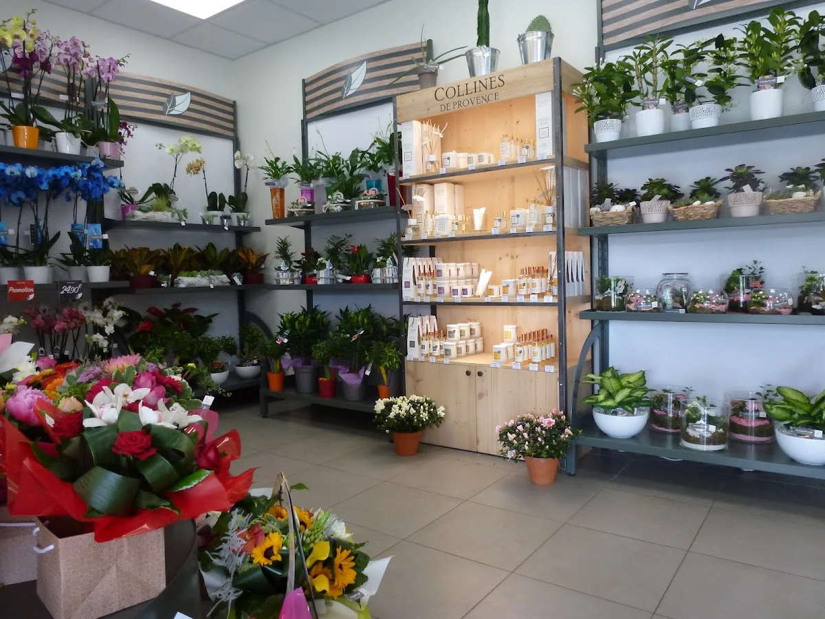 Natura Flore Ozoir - Fleuriste - 3