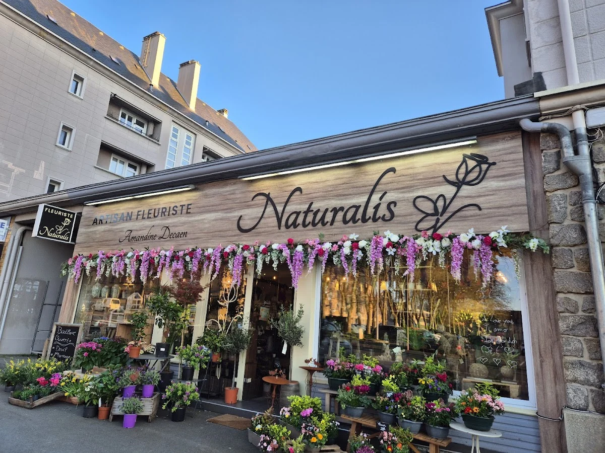 Naturalis