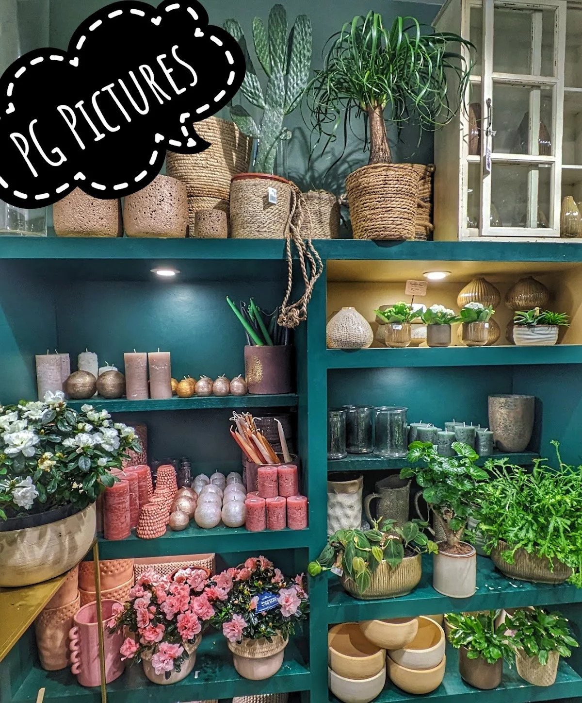 Naturellement Fleurs | Fleuriste Rennes