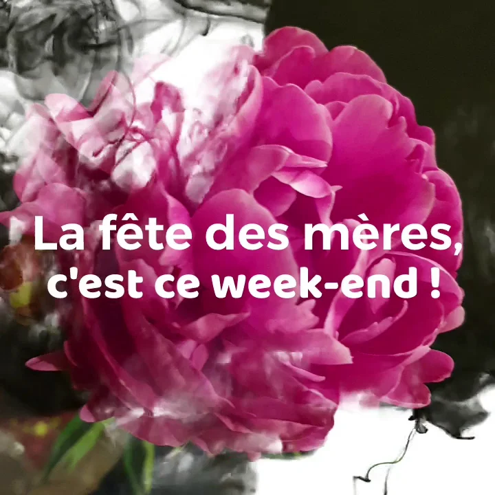 Natur'en fleurs - fleuriste - livraison - Evian - 4
