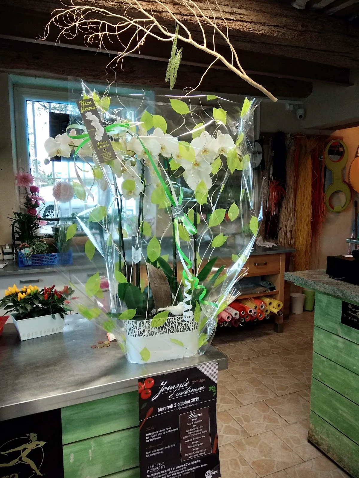 Nice Fleurs - 2