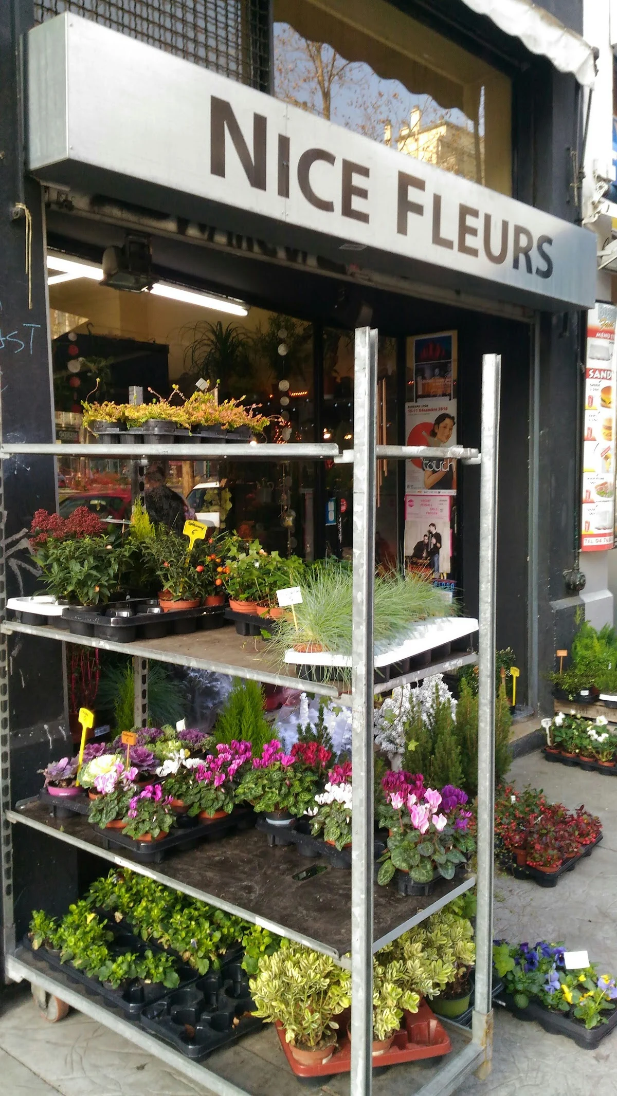 Nice fleurs Grenoble | Fleuriste Grenoble