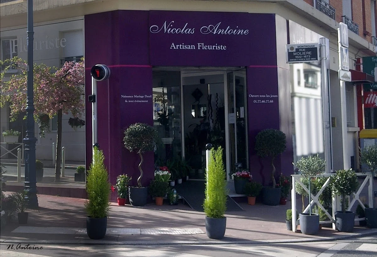 Nicolas Antoine | Fleuriste Montrouge