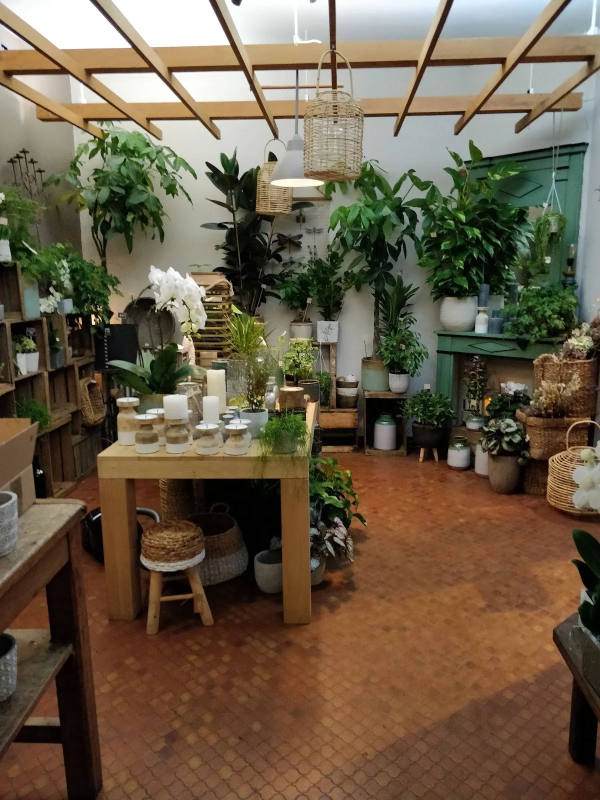Nicolas Fleurs et Jardins - 2