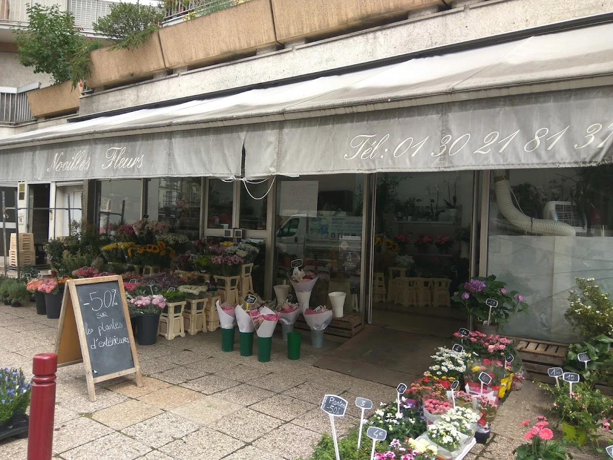Noailles Fleurs