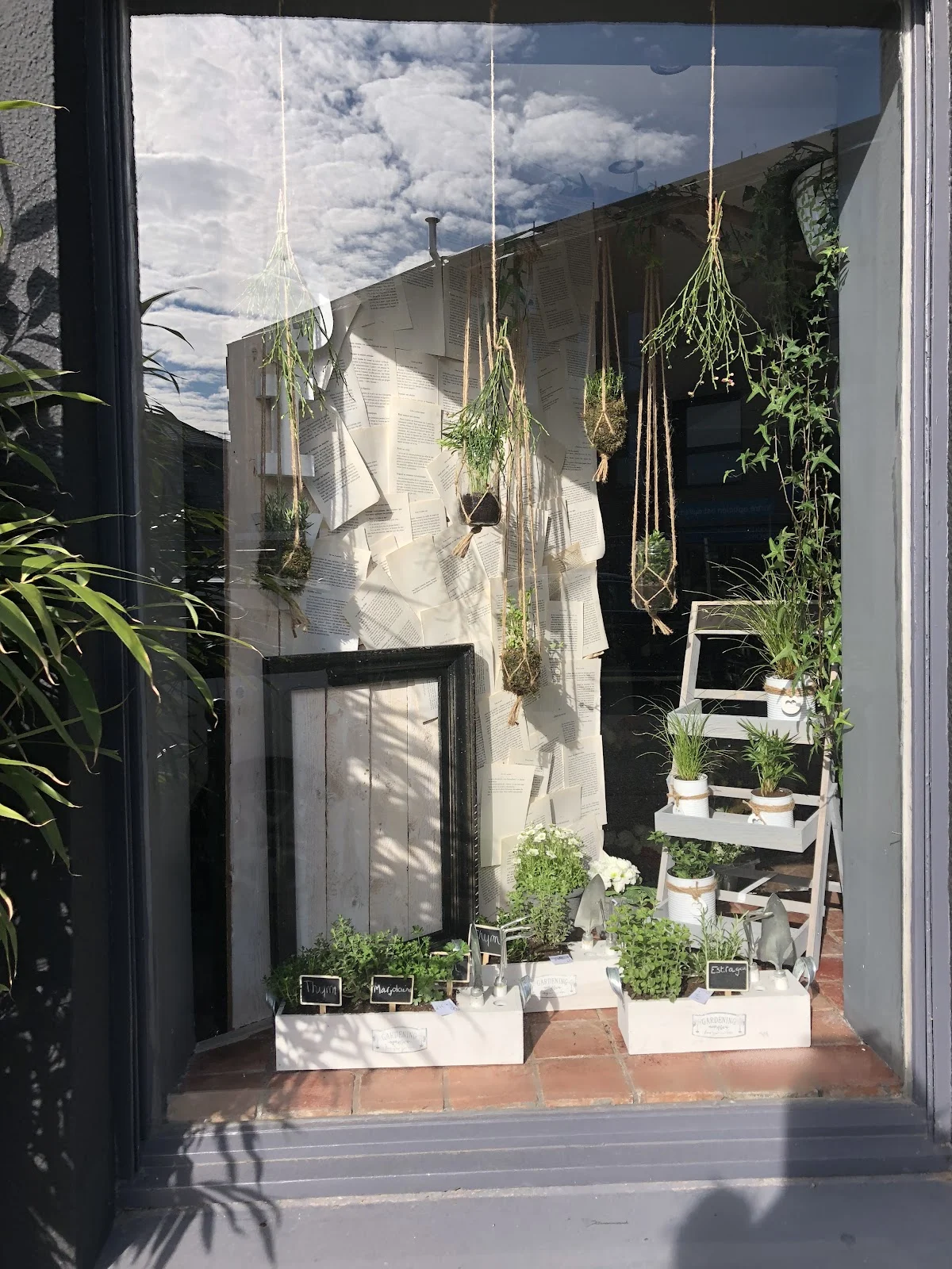 Nymphéas | Fleuriste à Mouvaux