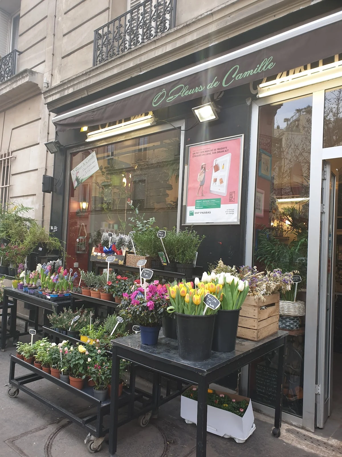O fleurs de camille | Fleuriste Paris - 2