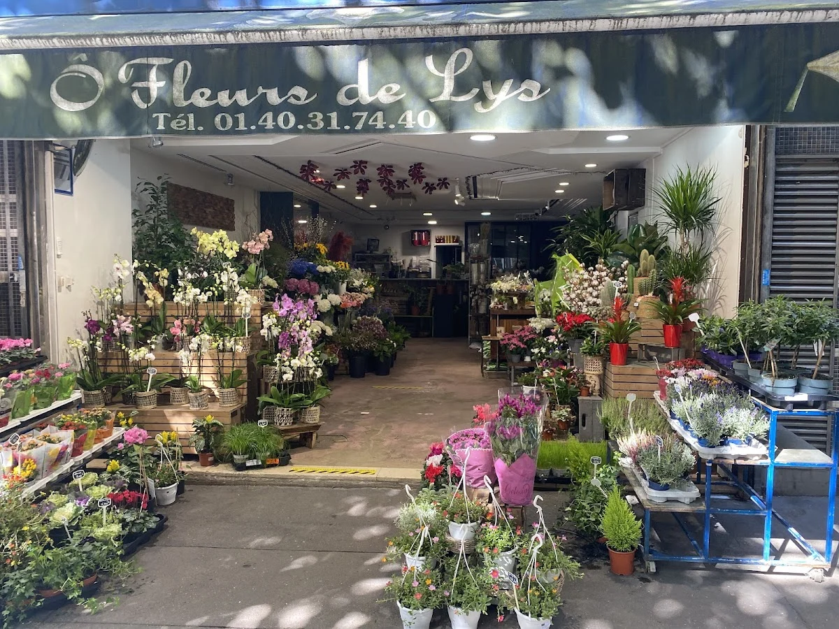 O FLEURS DE LYS - 4