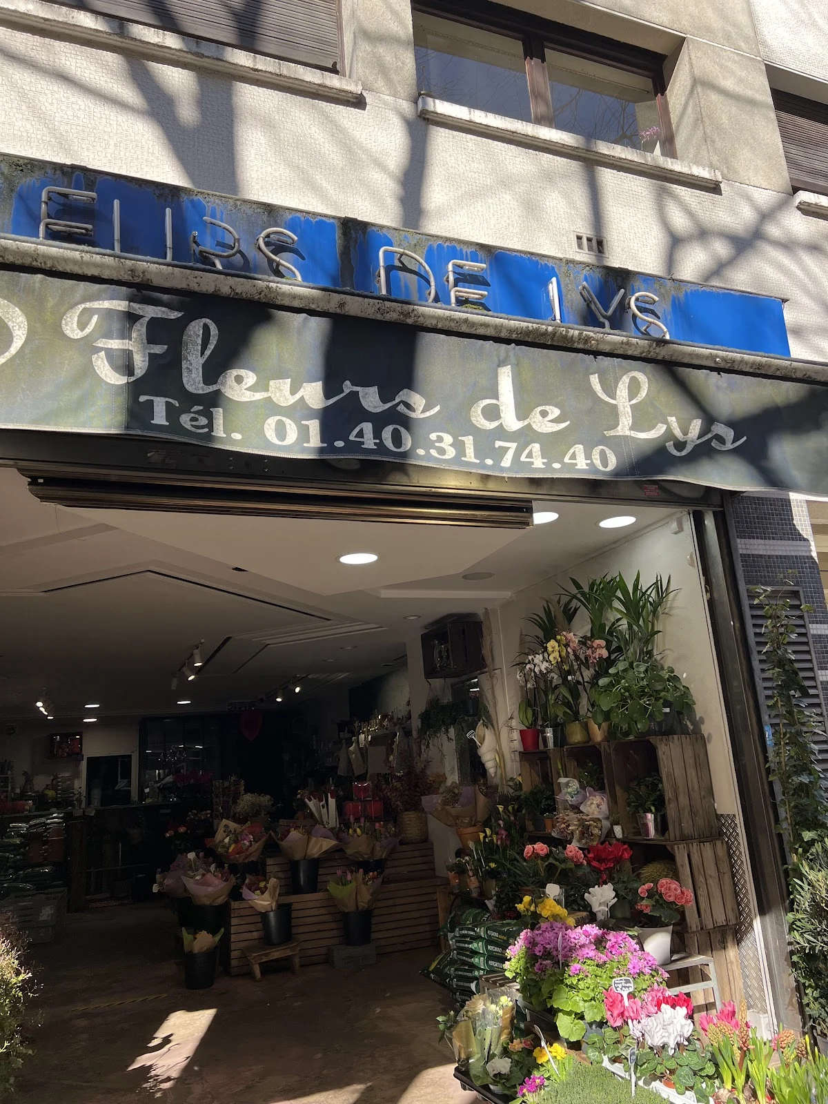 O FLEURS DE LYS