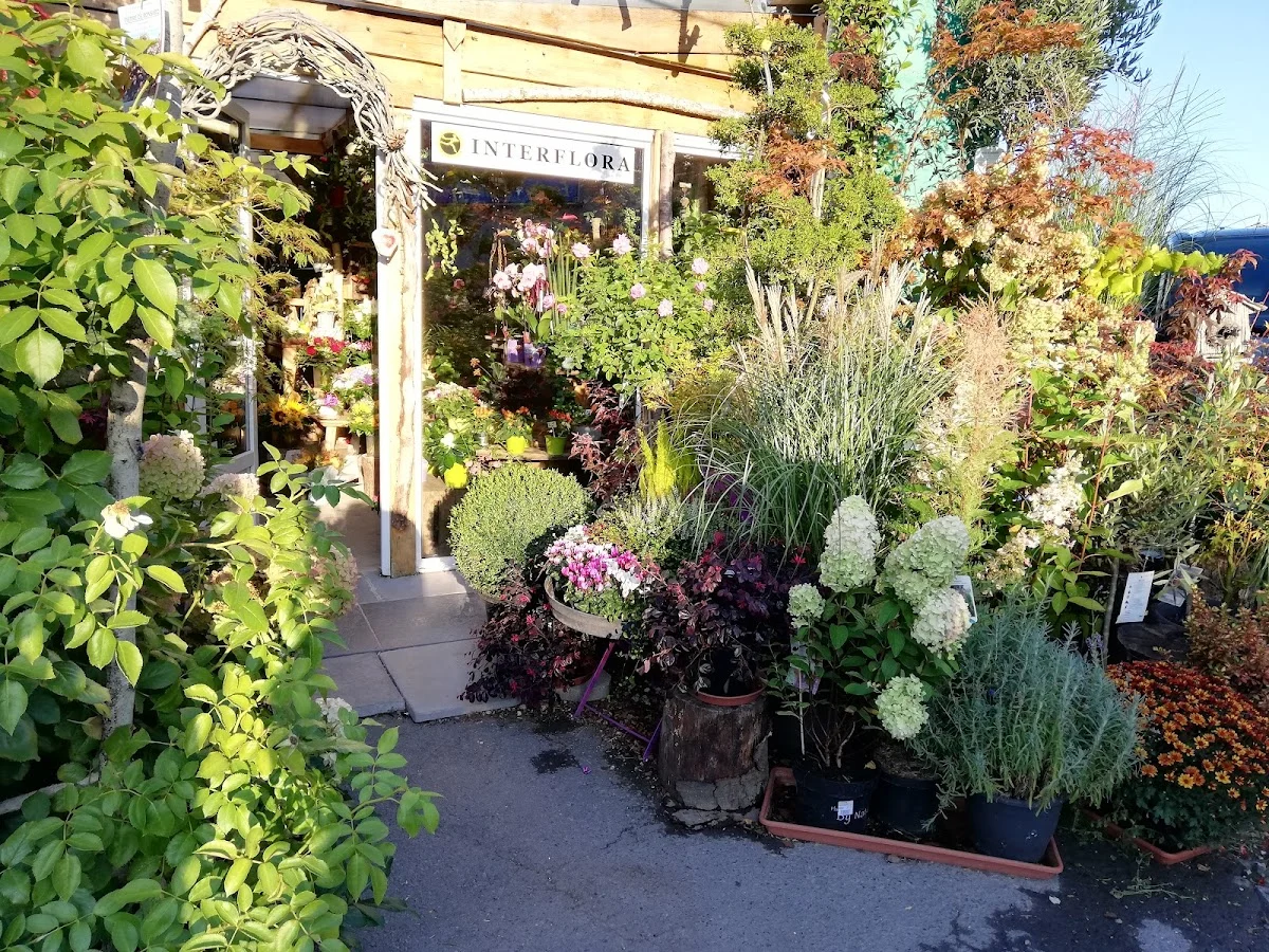 O parfums de fleurs - 2