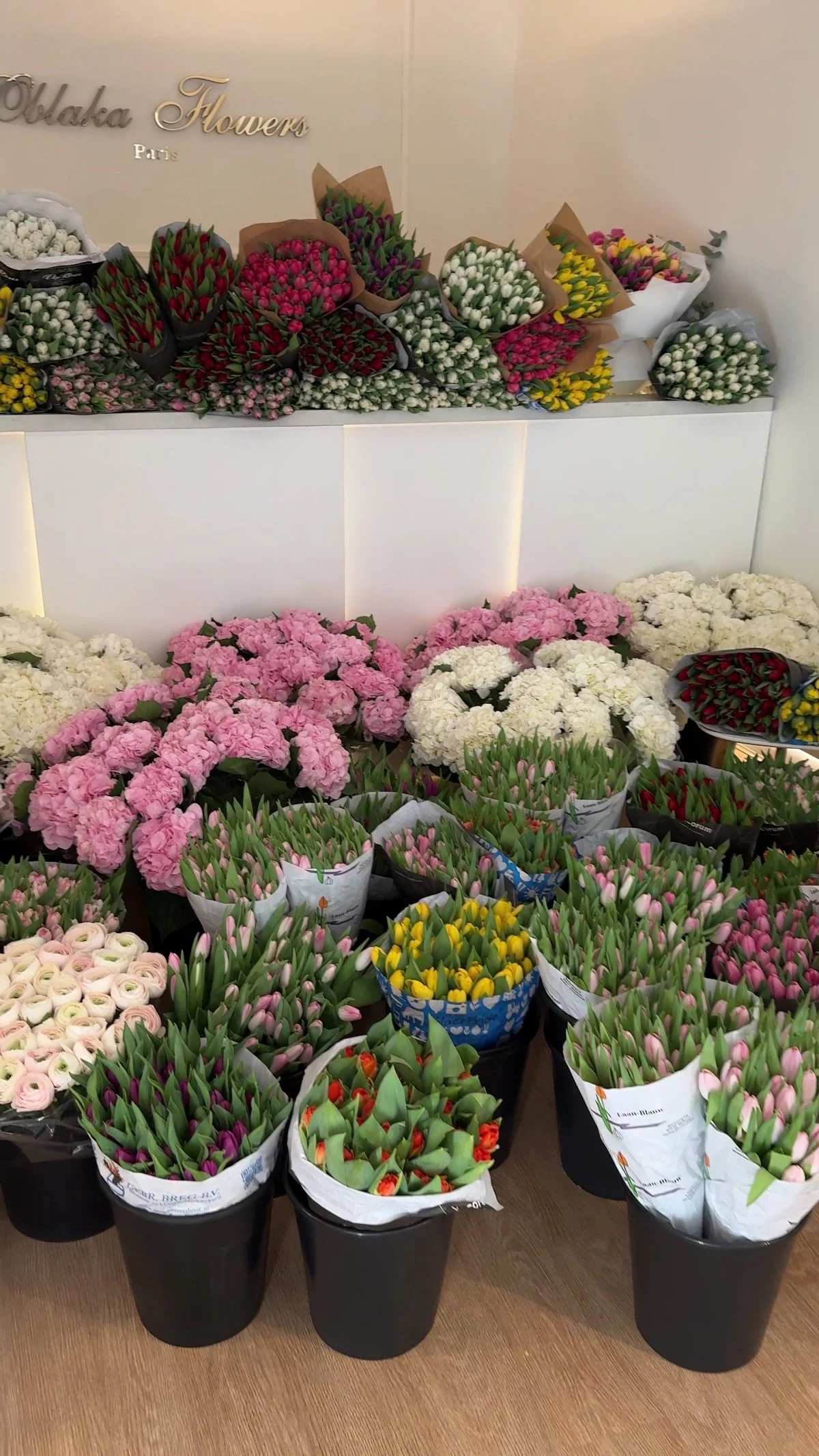 Oblaka Flowers - 3
